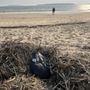 Photo of Indian Neck Beach