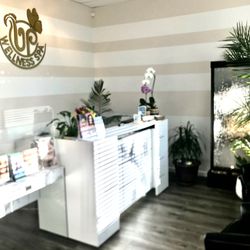 UP WELLNESS SPA - Front Desk