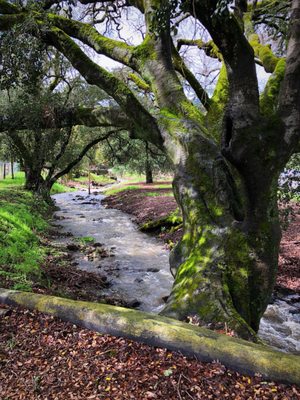 Veterans Home of California, Yountville by null