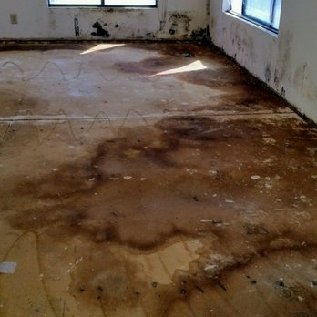 Team Delta - Subfloor and wall damage - Damage Restoration Near Me - Beaumont, California Team Delta - Subfloor and wall damage - Damage Restoration Near Me - Beaumont, California