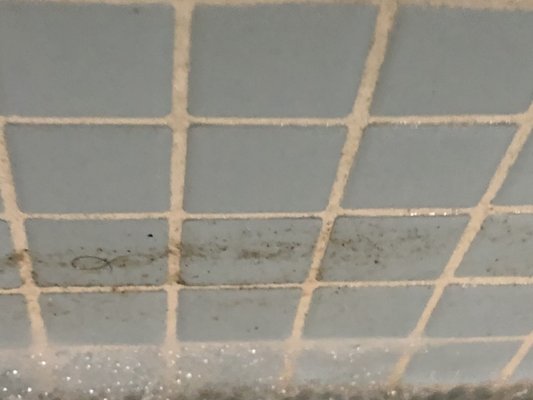 Spa at Four Seasons Toronto by null