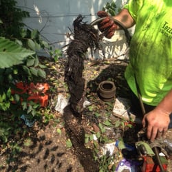 Tozzie’s Drain Cleaning