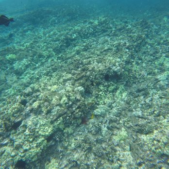 Maui Adventure Tours - Tours Near Me Maui Adventure Tours - Tours Near Me