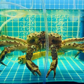 Golden Phoenix - Look @ that Fresh Crab Baby! - Vietnamese Near Me - Oklahoma City, Oklahoma Golden Phoenix - Look @ that Fresh Crab Baby! - Vietnamese Near Me - Oklahoma City, Oklahoma