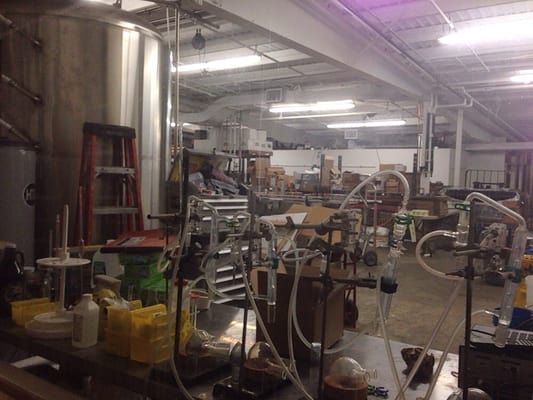 Citizen Cider by null