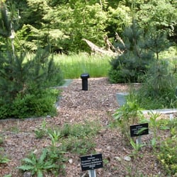 Forstbotanischer Garten Eberswalde