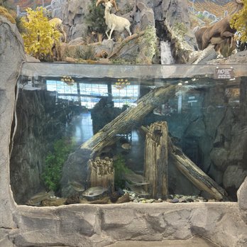 Cabela's - Hunting & Fishing Supplies Near Me - Farmington, Utah