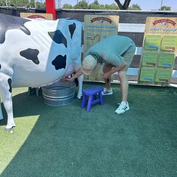 Imagine U Children's Museum - Milk a pretend cow with information on dairy farming against the wall - Children's Museums Near Me - Visalia, California Imagine U Children's Museum - Milk a pretend cow with information on dairy farming against the wall - Children's Museums Near Me - Visalia, California