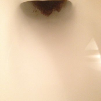 Vedder River Inn - Toilet Photo #2: What is that?? - Hotels Near Me - Chilliwack, British Columbia Vedder River Inn - Toilet Photo #2: What is that?? - Hotels Near Me - Chilliwack, British Columbia