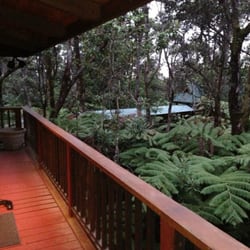 Volcano Tree House - View from the deck of the Tree Top Suite. Three stories high in the middle of Volcano. We had an amazing, lovely visit.