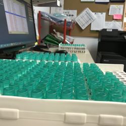 American Specialty Lab