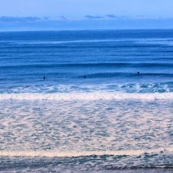 Sonoma Coast State Beach - A Bunch of Surfers