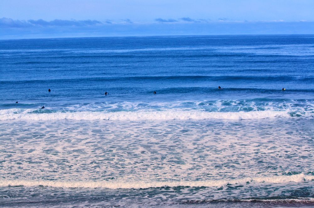 Sonoma Coast State Beach