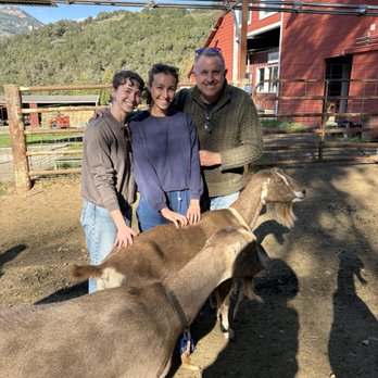Stepladder Ranch & Creamery - My kids with the kids. - Ranches Near Me - Cambria, California Stepladder Ranch & Creamery - My kids with the kids. - Ranches Near Me - Cambria, California