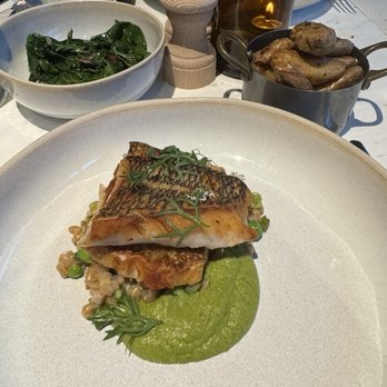 Fish Shop - Striped sea bass - Seafood Near Me - Washington, DC, District of Columbia