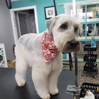Grooming Tails - Pet Groomers Near Me - Venice, Florida