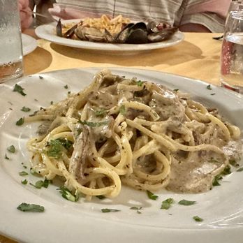 Tucci - Pasta with mushroom and truffles - Italian Near Me - Rome, RM Tucci - Pasta with mushroom and truffles - Italian Near Me - Rome, RM