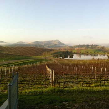 Cuvaison - Wineries Near Me - Napa, California