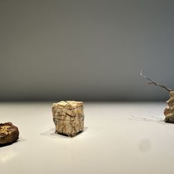 Asian Art Museum - New Japanese Clay {9/19/2025}