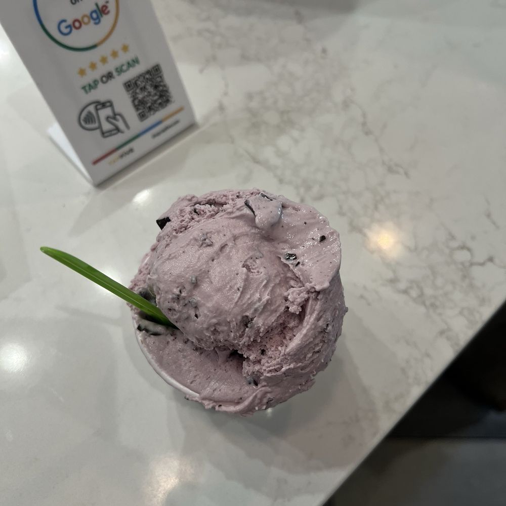 Mora Stracciatella Gelato Mora Stracciatella Gelato