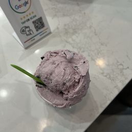 Mora Stracciatella Gelato Mora Stracciatella Gelato