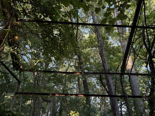 Kentucky Native Café by null