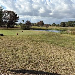 Savanna Club Golf Course