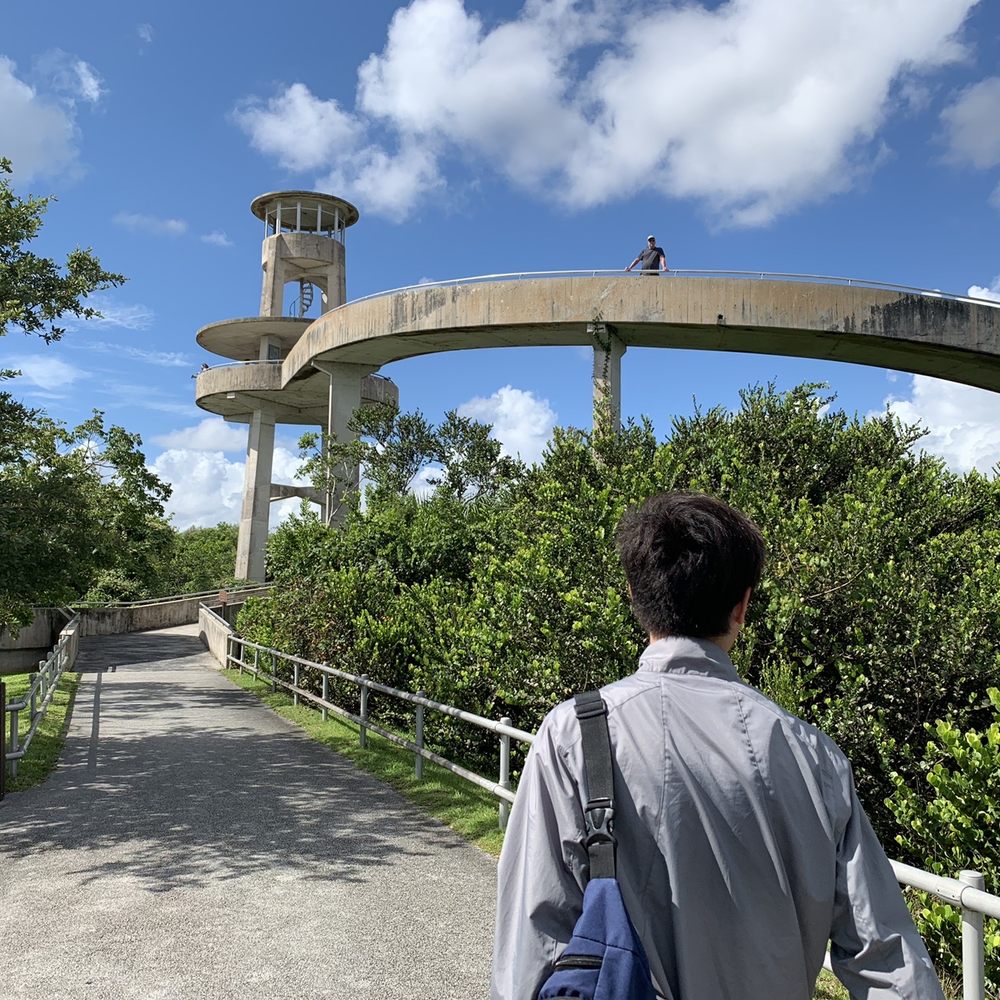 Shark Valley Tram Tours - Observation tower - Tours Near Me - Miami, Florida