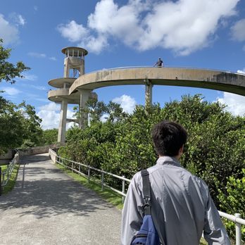 Shark Valley Tram Tours - Observation tower - Tours Near Me - Miami, Florida Shark Valley Tram Tours - Observation tower - Tours Near Me - Miami, Florida
