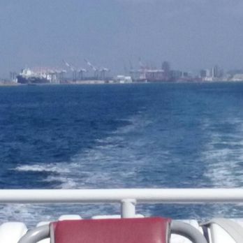 Harbor Breeze Cruises - Whale Watching Tours Near Me - San Pedro, California