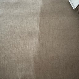 Couch cushion
