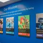 Insight Pest Solutions