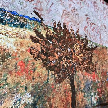 Immersive Van Gogh Exhibit - Art Galleries Near Me - Las Vegas, Nevada