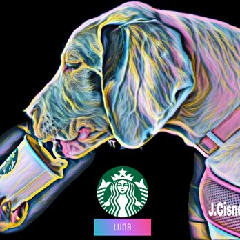 Starbucks - Coffee & Tea Near Me - Houston, Texas Starbucks - Coffee & Tea Near Me - Houston, Texas