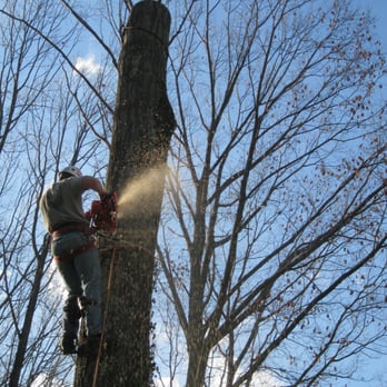 Great Outdoors Tree Service - Tree Services Near Me - Mantua, Ohio Great Outdoors Tree Service - Tree Services Near Me - Mantua, Ohio