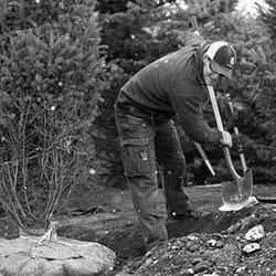 Lawngevity Landscapes - Our owner Adam.