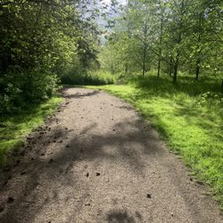 Hockinson Meadows Community Park
