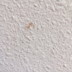 Sherwin-Williams Paint Store - Worst paint ever!
