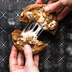 Magnolia Kitchen and Bakery - Gooey Smores Cookie, chewy, crispy, gooey center. Perfect fire roasted marshmallow smores cookie, gourmet cookies for sale, best cookies
