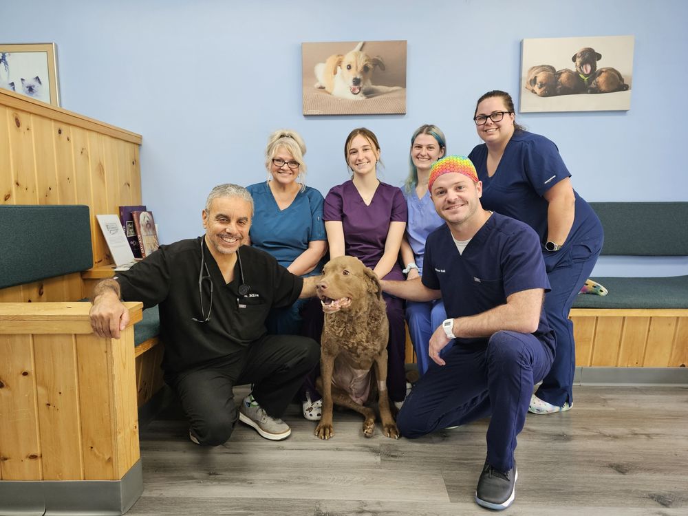HOWARD COUNTY ANIMAL HOSPITAL Updated September 2024 16 Reviews
