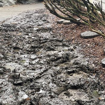 Three Brothers Landscaping - Muddy mess before Martin's work - Landscaping Near Me