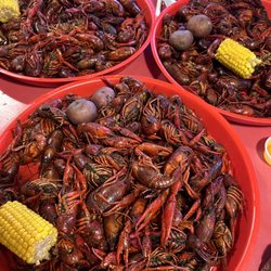 Steamboat Bill’s Icehouse - Crawfish