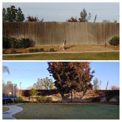 Property Cleanout Services - Transform Your Space with Central Valley Tree Service!
Is clutter taking over your property? At Central Valley Tree Service, we specialize in comprehensive property cleanout services, including garage cleanouts and backyard cleanouts.
Our Services Include:
🏡 Property Cleanouts – Clear away unwanted items and reclaim your space!
🚗 Garage Cleanouts – Organize your garage and make room for what matters.
🌳 Backyard Cleanouts – Remove debris and overgrowth for a beautiful outdoor space.
Our experienced team is dedicated to helping you restore order and create a clean, inviting environment. We handle the heavy lifting so you can enjoy a tidy and functional space.
Call / Text Central Valley Tree Service today for a free estimate! Property Cleanout Services - Transform Your Space with Central Valley Tree Service!
Is clutter taking over your property? At Central Valley Tree Service, we specialize in comprehensive property cleanout services, including garage cleanouts and backyard cleanouts.
Our Services Include:
🏡 Property Cleanouts – Clear away unwanted items and reclaim your space!
🚗 Garage Cleanouts – Organize your garage and make room for what matters.
🌳 Backyard Cleanouts – Remove debris and overgrowth for a beautiful outdoor space.
Our experienced team is dedicated to helping you restore order and create a clean, inviting environment. We handle the heavy lifting so you can enjoy a tidy and functional space.
Call / Text Central Valley Tree Service today for a free estimate!