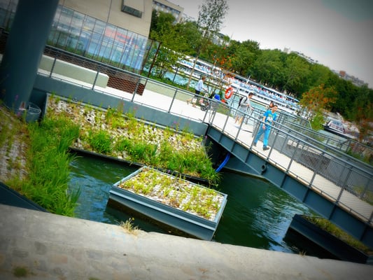 Berges de Seine by null