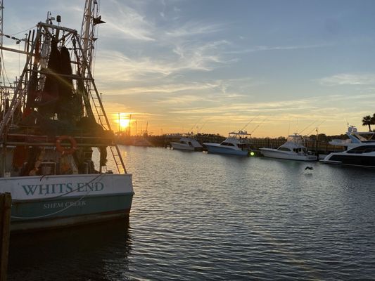 Saltwater Cowboys by null