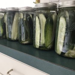 Kleinke's farm - Fresh pickled pickles!
