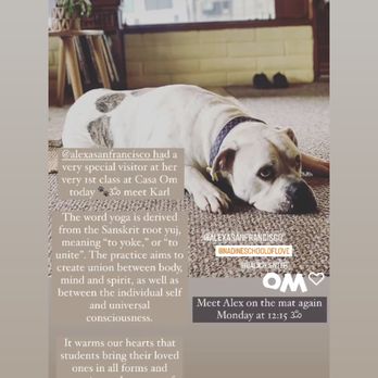 Casa Om - Carlton became a featured Yogi guest :) - Yoga Near Me - Pacifica, California