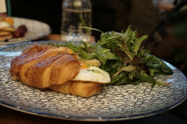 Wilma Wunder by null