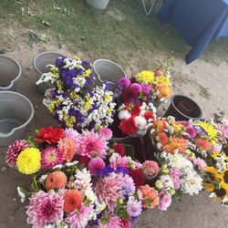 Elkhart Lake Farmers Market
