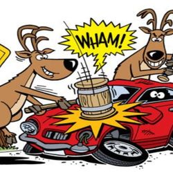 Tri-County Collision